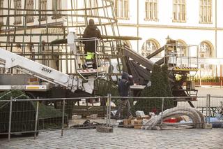 Montaż iluminacji świątecznej we Wrocławiu