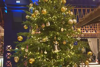 Tak wygląda najdroższa choinka świata. Ozdoby są warte ponad 60 MILIONÓW złotych!