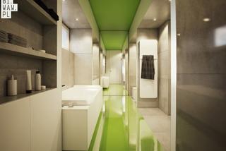 Nowoczesne wnętrza: zielona łazienka 2