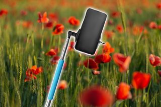 To hit Instagrama! Macie już fotkę na polu maków? Selfie w morzu czerwieni podbija sieć