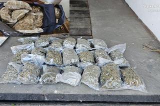 Dąbrowa Górnicza: Duża akcja policji. Blisko 60 kg narkotyków nie trafiło na rynek