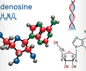 Adenozyna - działanie, dawkowanie, wskazania, skutki uboczne
