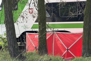 Tragedia w Ząbkach. Nie żyje pieszy. Wtargnął na tory w niedozwolonym miejscu