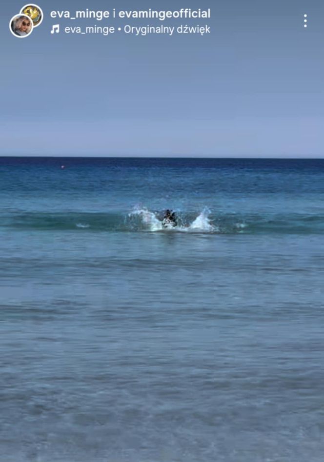 Ewa Minge