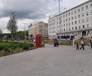 Park centralny w Gdyni. Atrakcje dla dzieci i dorosłych