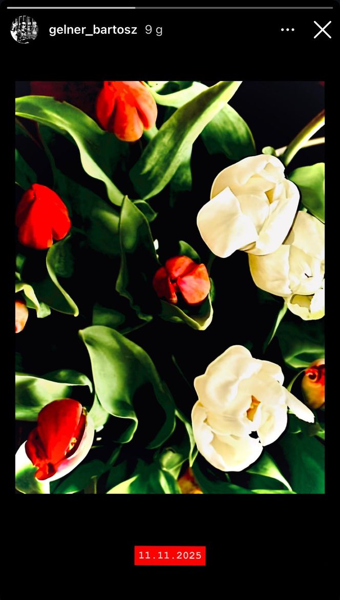 Patriotyczne wpisy gwiazd! Tak 11 listopada uczcili polską wolność