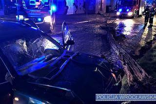 Wrocław: Policyjny pościg, narkotyki i złamane drzewo! Szalone urodziny 19-latka