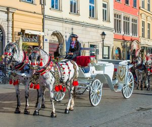 Stop dorożkom w Rynku Głównym! Miejscy aktywiści wystosowali petycję