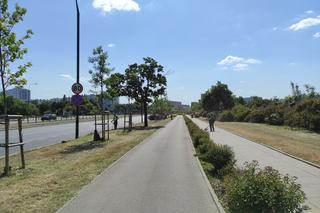 Zrobili pustynię w środku miasta. Wielkie koszenie trawy w Warszawie