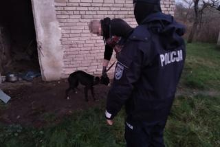 Policjanci WYRWALI psy z PIEKŁA!
