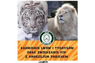 Najciekawsze aukcje WOŚP w regionie łódzkim