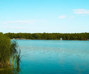 Jezioro Paprocańskie w Tychach. Idylliczne miejsce dla miłośników przyrody [ZDJĘCIA]