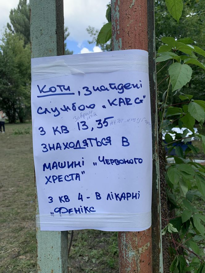 W ataku rakietowym w Kijowie zginęło 31 osób