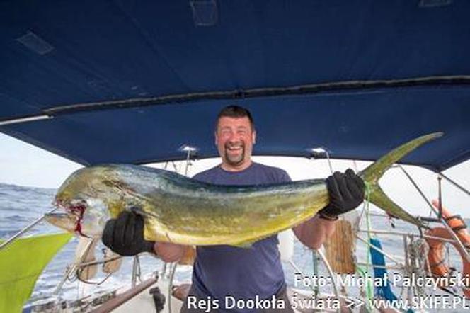 Atlantyk_polow_Mahi_Mahi