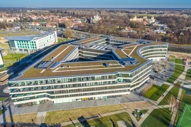 dach zielony royal wilanow