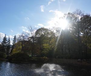 Park Wilsona jesienią