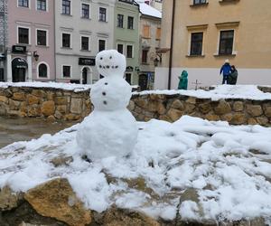 Pierwszy śnieg w tym sezonie! Lublin jest ukryty pod zimową pierzynką 