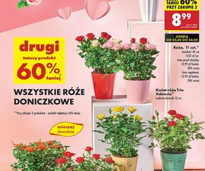Dzień Matki w Biedronce