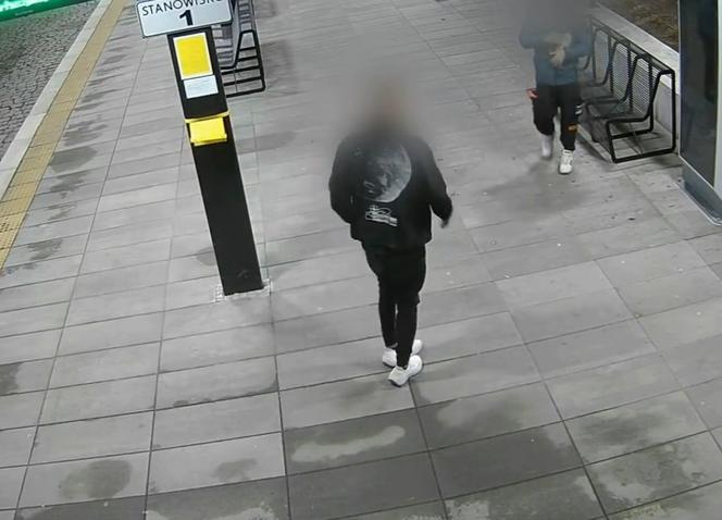 Niesforny wandal z Pszczyny