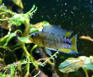 Rozmawiamy z Tomaszem Wiśniewskim, założycielem Aqua Dreams Bydgoszcz