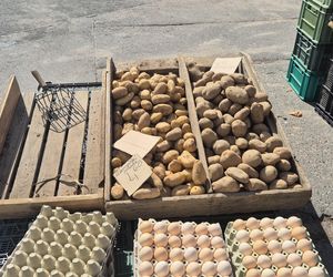 Drożyzna na targowiskach? Nie w Olsztynie. Tu kupisz truskawki w dobrej cenie!