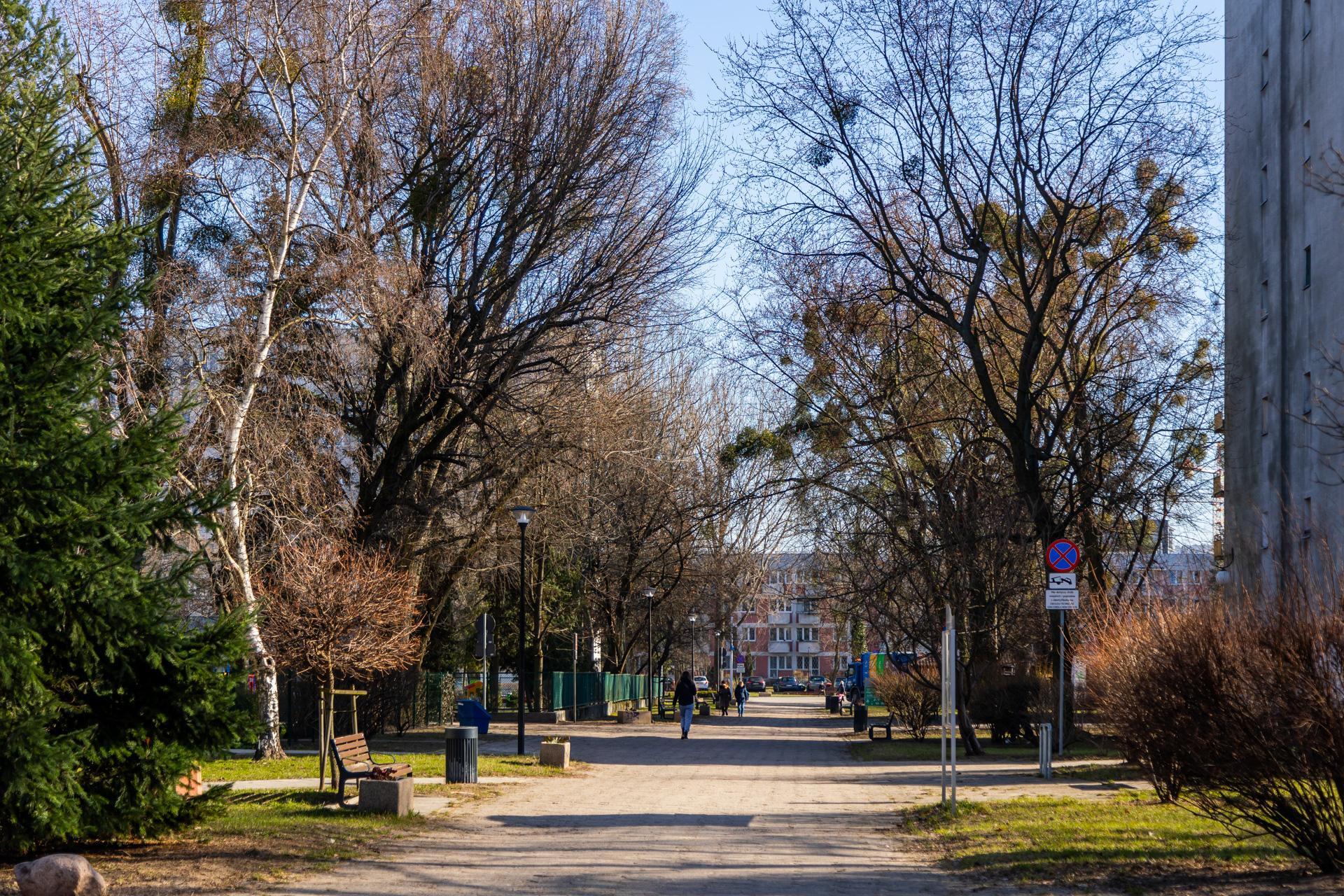 Osiedle Zatrasie - zdjęcia. Zobacz warszawskie osiedle z PRL-u, które zostało zabytkiem