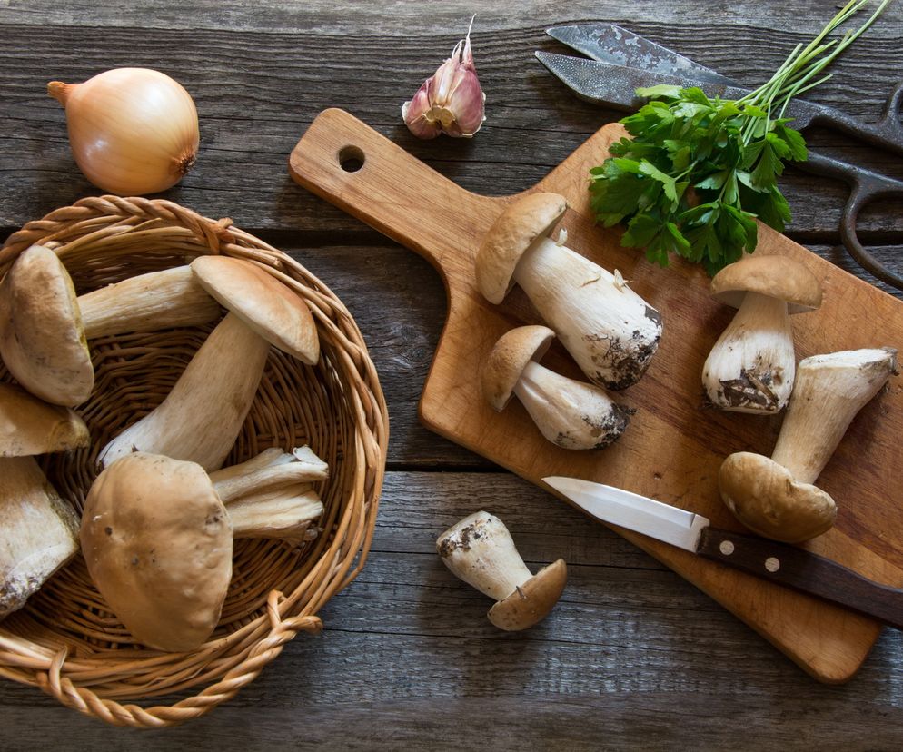 Borowik (prawdziwek) - rodzaje. Borowiki jadalne i trujące [LISTA]