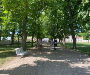 Pałac w Rogalinie zachwyca turystów. Znajduje się 20 kilometrów od Poznania 