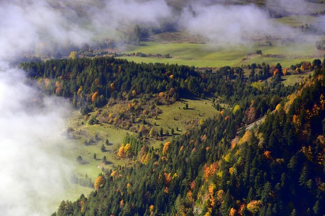 To najstarszy i najpiękniejszy park narodowy w Polsce. Warto odwiedzić go właśnie jesienią