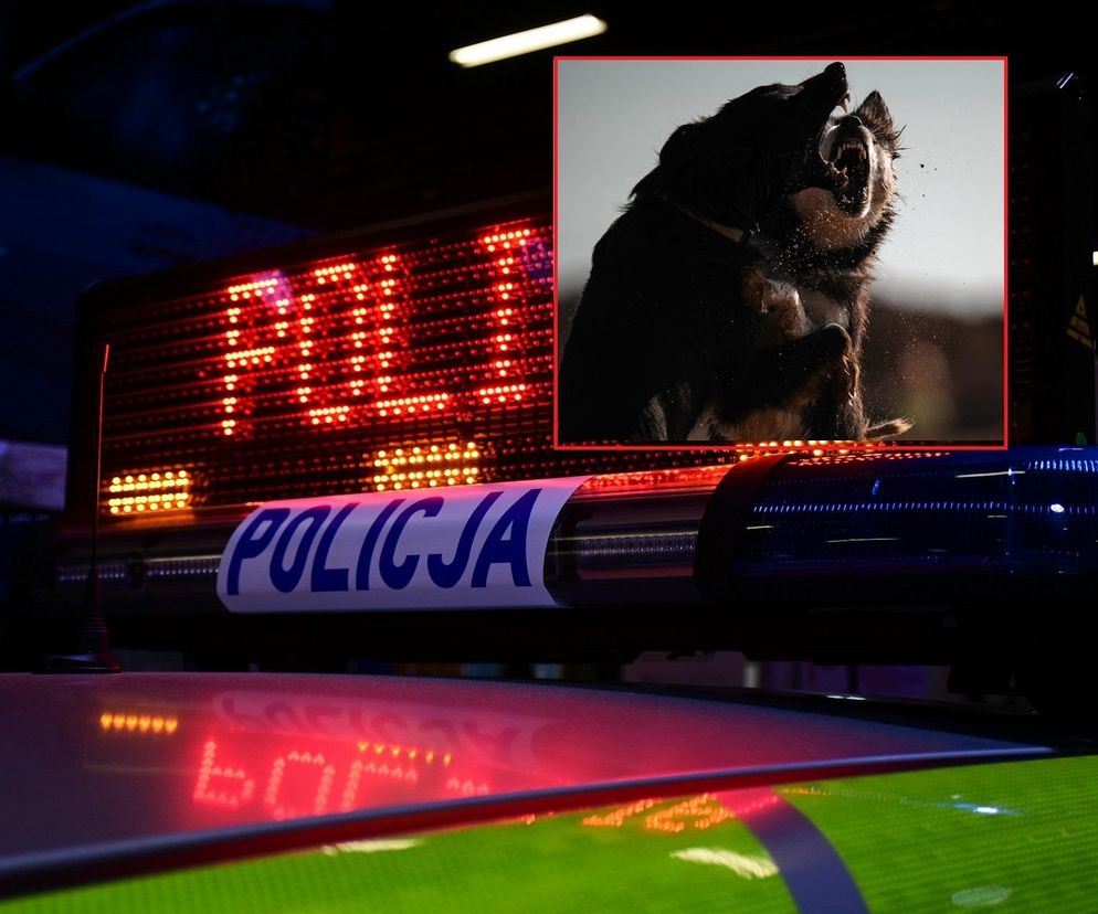 Agresywne psy i policja