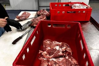 Policjanci rozbili nielegalną przetwórnię mięsa do kebabów! Zabezpieczono tony nieprzebadanego mięsa