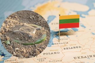 Litwa wycofuje się z traktatu ottawskiego. Czy to koniec ery zakazu min przeciwpiechotnych w Europie?