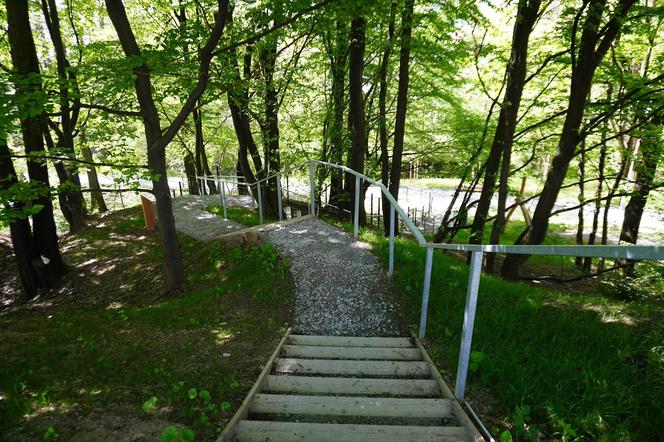 Tak wygląda park w dolinie Ślepiotki w Katowicach