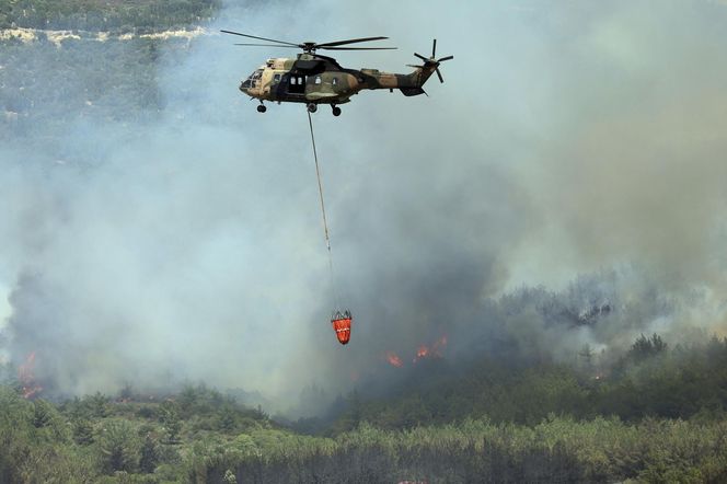 Podpalił Turcję, bo chciał iść do więzienia! Podpalacz kurortów złapany