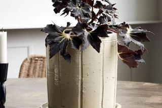 Ciekawe doniczki do domu