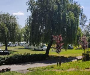 Camping  nr 117 STADION  (Wrocław)