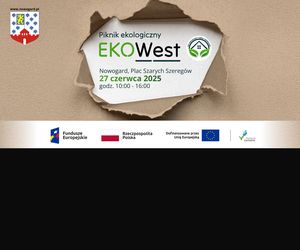 Piknik pełen atrakcji w Nowogardzie! Eko-zabawa, pokaz ptaków i „Pieski na czerwonym dywanie” już 27 czerwca