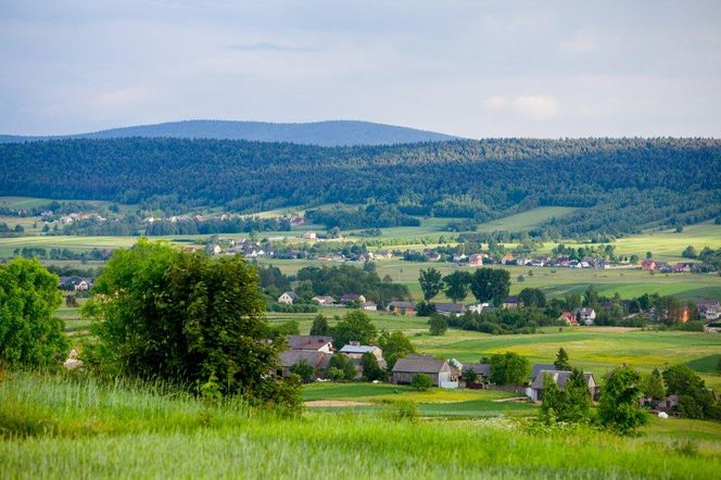 Wzgórze Barbarka we Wzdole Rządowym i piękne widoki na Góry Świętokrzyskie