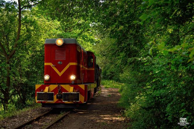 Najstarsza na świecie wąskotorówka wraca na szlak z Bytomia do Miasteczka Śląskiego! [TRASA, CENNIK]