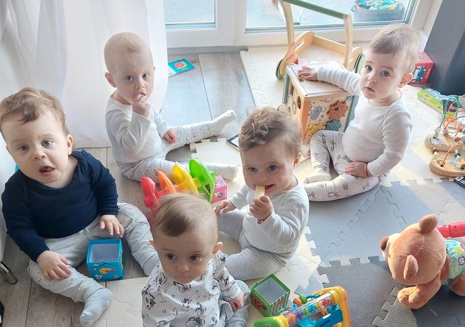Pięcioraczki z Gniezna stawiają pierwsze kroki. Wszędzie ich pełno