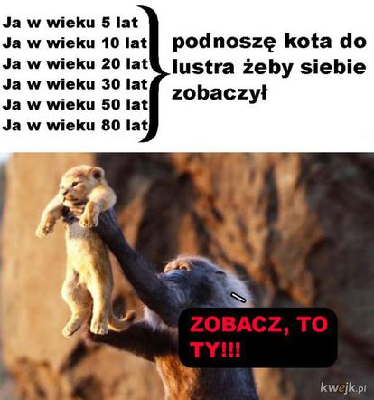 Dzień Kota 2020