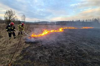 Gorzów: Wypalanie traw to prawdziwa plaga 