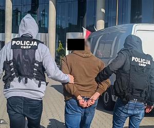 Gang sutenerów rozbity! Spektakularna akcja policji