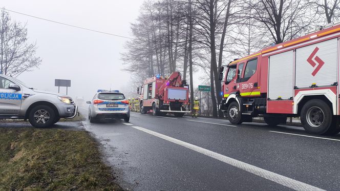 Wypadek śmiertelny w Grodźcu na DK 46