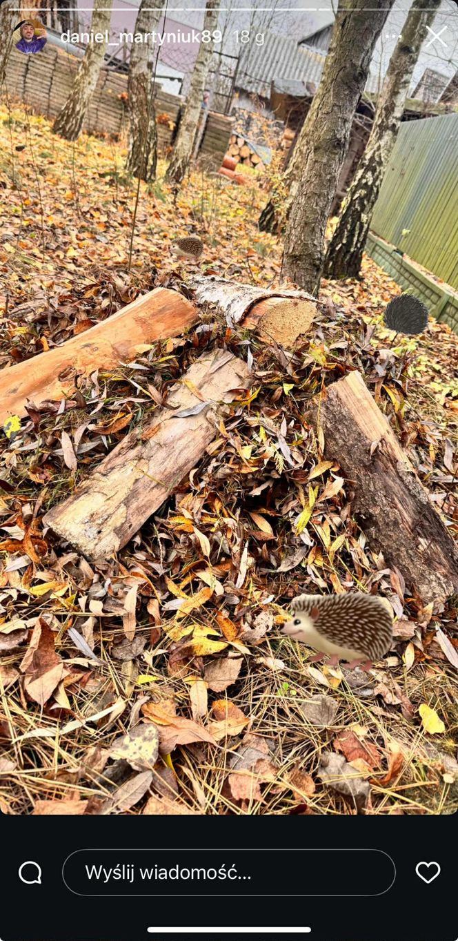 Nowe życie Daniela Martyniuka. Szok, co udostępnił w sieci