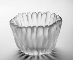 Lichen vase