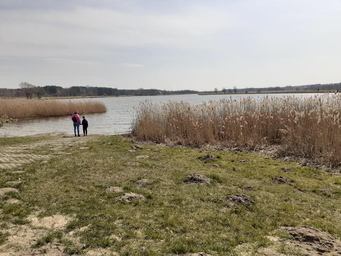 Pierwsza akcja sprzątania brzegów rzeki Muchawki i siedleckiego zalewu w ramach Operacji Czysta Rzeka 2021