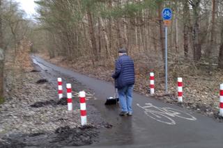 Ścieżka w Puszczy Bukowej 