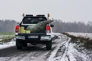 Toyota Hilux Selection 2.4 D-4D 4x4 - pomocnik Świętego Mikołaja