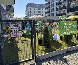 Sklep Żabka z ogródkiem dla klientów